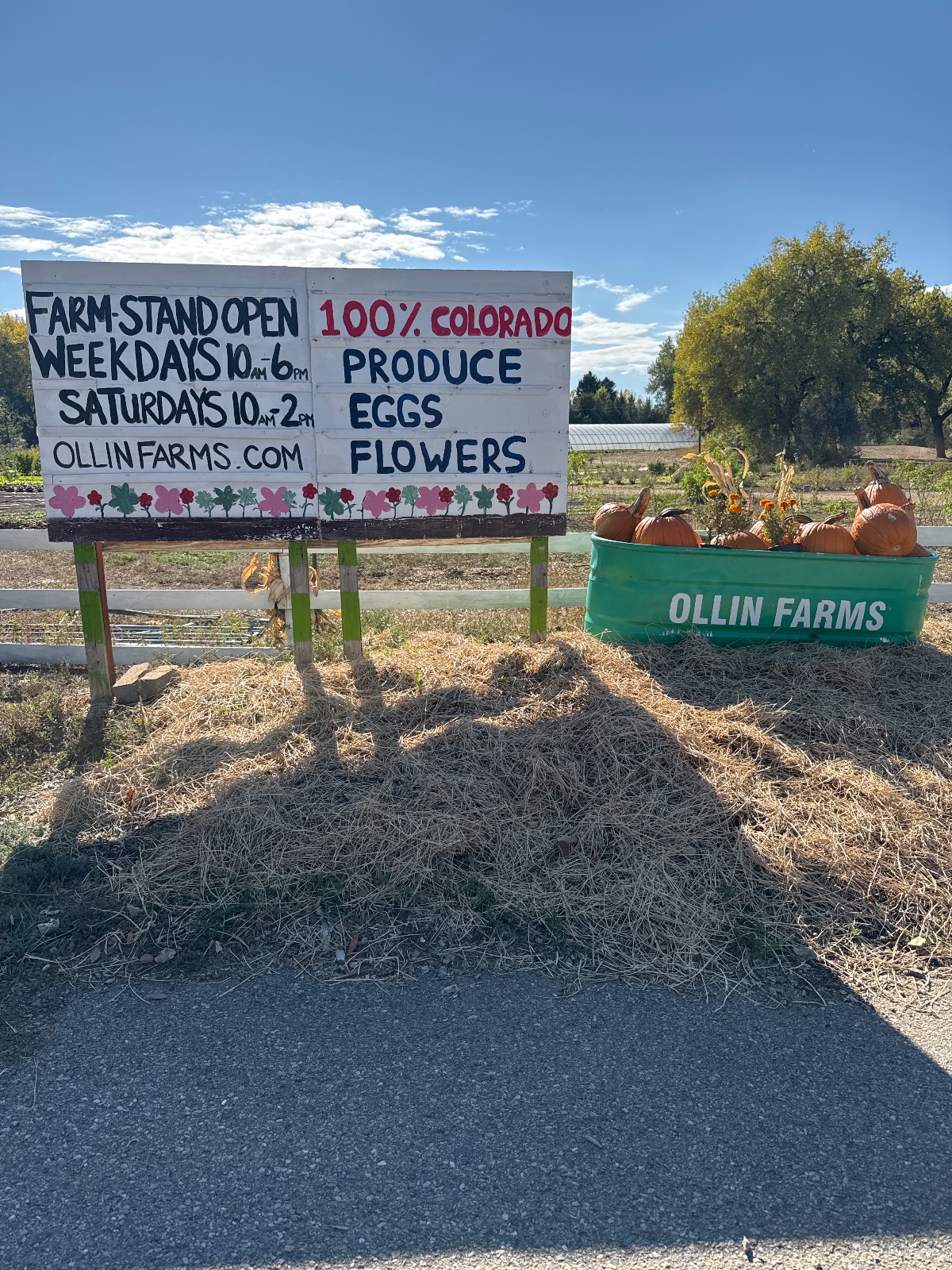 Ollin Farms Veggies deal in Longmont